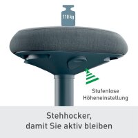 LEITZ Sitz- & Stehhocker Ergo Active 65450089 dunkelgrau, 1 St.