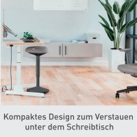 LEITZ Sitz- & Stehhocker Ergo Active 65450089 dunkelgrau, 1 St.