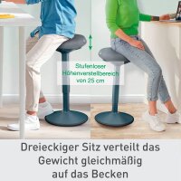 LEITZ Sitz- & Stehhocker Ergo Active 65450089 dunkelgrau, 1 St.