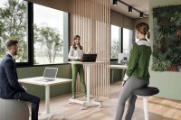 LEITZ Sitz- & Stehhocker Ergo Active 65450089 dunkelgrau, 1 St.