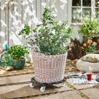WAGNER® design yourself Pflanzenroller WPC GH 0565 Kunststoff, Ø 50,0 cm anthrazit rund, 1 St.