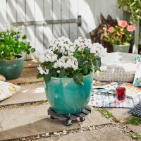 WAGNER® design yourself Pflanzenroller WPC GH 0525 Kunststoff, Ø 29,0 cm anthrazit rund, 1 St.