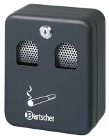 Bartscher Wandaschenbecher schwarz, 1 St.