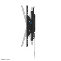 Neomounts TV-Wandhalterung WL-35-750BL14 schwarz