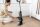 Shark® HydroVac WD210EU Akku-Nass-/Trockensauger