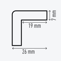 DURABLE Prallschutz C19 eckig 2,6 x 2,6 cm, 1 St.