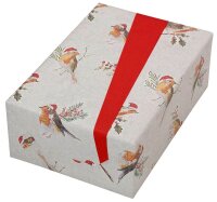 JUNG SCHÖNER VERPACKEN Geschenkpapier Robin Vögel mehrfarbig beidseitig bedruckt