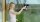 BOSCH Home & Garden GlassVAC Fenstersauger