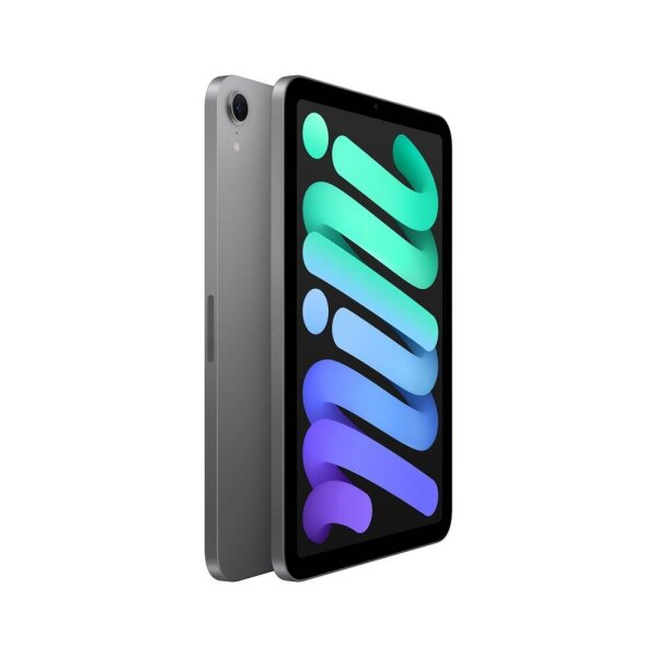 Apple iPad mini Wi-Fi (A17 Pro) (2024) 21,1 cm (8,3 Zoll) 512 GB spacegrau