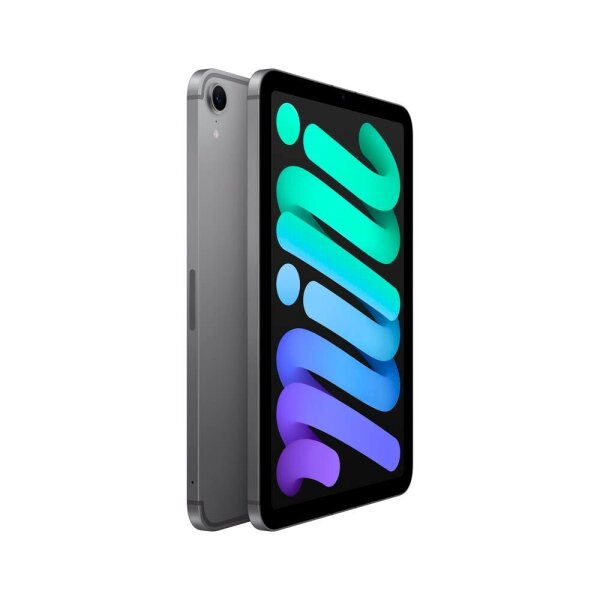 Apple iPad mini Cellular (A17 Pro) (2024) 21,1 cm (8,3 Zoll) 256 GB spacegrau