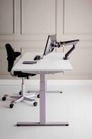 BAKKER ELKHUIZEN Monitor-Halterung BE Flexible Dual BNEBFDDG dunkelgrau für 2 Monitore, Tischklemme