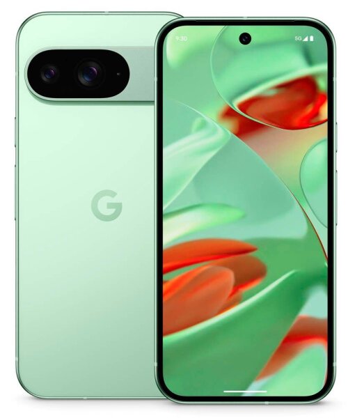 Google Pixel 9 Dual-SIM-Smartphone wintergrün 128 GB