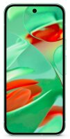 Google Pixel 9 Dual-SIM-Smartphone wintergrün 128 GB