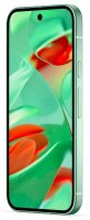 Google Pixel 9 Dual-SIM-Smartphone wintergrün 128 GB