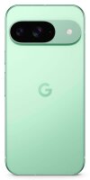 Google Pixel 9 Dual-SIM-Smartphone wintergrün 128 GB