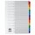 dots Ordnerregister Mylar DIN A4 Vollformat 1-12 farbig 12-teilig, 1 Satz