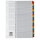 dots Ordnerregister Mylar DIN A4 Vollformat 1-31 farbig 31-teilig, 1 Satz