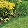GARDENA Rasenkante 9,0 cm x 9,0 m