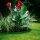 GARDENA Rasenkante 9,0 cm x 9,0 m