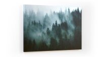 ALLboards Magnettafel CANVASboards 90,0 x 60,0 cm Wald im...