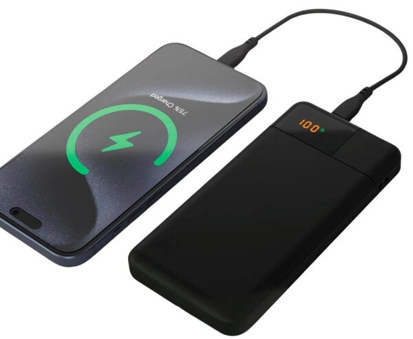 Aqiila® POWERBIRD B10 Powerbank 10.000 mAh schwarz