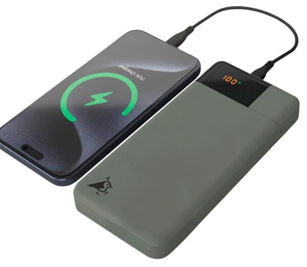 Aqiila® POWERBIRD B20 Powerbank 20.000 mAh grün