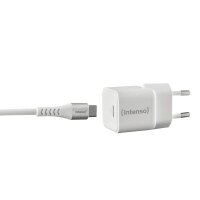 Intenso W30C + C315C USB-C Kabel GaN-Ladeadapter weiß, 30 Watt