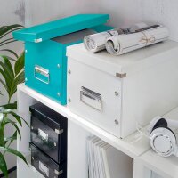 LEITZ Click & Store Aufbewahrungsbox 30,0 l eisblau...