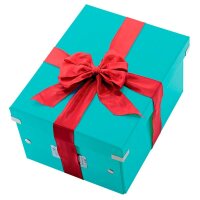 LEITZ Click & Store Aufbewahrungsbox 30,0 l eisblau 32,0 x 36,0 x 31,0 cm, 1 St.
