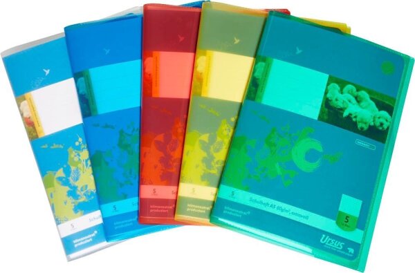 5 JOLLY Heftumschläge farbsortiert Kunststoff DIN A5