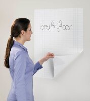 FRANKEN Flipchart-Folie X-tra!Line kariert 60,0 x 80,0...