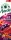 Amecke + Antioxidantien rot Fruchtsaftkonzentrat 6x 1,0 l