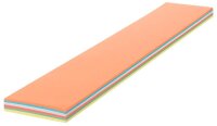 FRANKEN Moderationskarten farbsortiert 9,5 x 54,5 cm, 100...