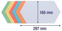 FRANKEN Moderationskarten farbsortiert 29,7 x 16,5 cm,...