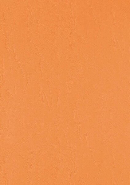 LMG Rückwände für Bindemappen orange, DIN A4 300 g/qm, 100 St.