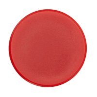 Magnete rot, Kunststoff Ø 3,2 x 0,73 cm, 10 St.