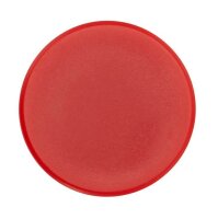 Magnete rot, Kunststoff Ø 3,8 x 1,03 cm, 10 St.