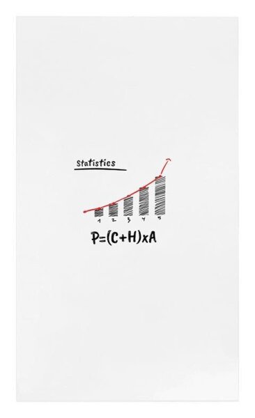 rocada Whiteboard Skin 108,0 x 204,0 cm weiß Stahl