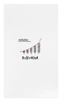 rocada Whiteboard Skin 108,0 x 204,0 cm weiß Stahl