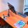 ergotron Monitor-Halterung LX mit hoher Säule 45-295-026 silber für 1 Monitor, T