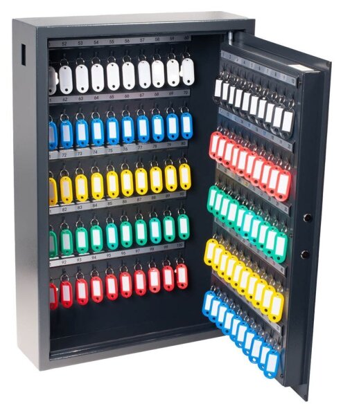 pavo Advanced Schlüsseltresor grau mit 100 Haken, Elektronikschloss, 40,8 x 13,8 x 55,5 cm, 1 St.