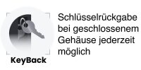 pavo Advanced Schlüsseltresor grau mit 150 Haken, Elektronikschloss, 45,5 x 16,0 x 56,0 cm, 1 St.
