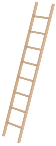 MUNK Anlegeleiter 33108 natur 8 Sprossen, H: 248,0 cm