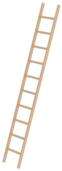 MUNK Anlegeleiter 33110 natur 10 Sprossen, H: 300,0 cm