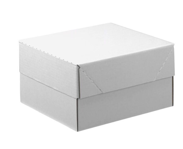 Nestler Kartons mit abnehmbarem Deckel 33,8 x 23,8 x 16,7 cm, 20 St.