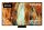 SAMSUNG GQ55QN70FAUXZG Smart-TV 138,0 cm (55,0 Zoll)