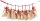 folia Adventskalender NATURE natur