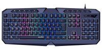 speedlink LUDICIUM RGB Rainbow Gaming-Tastatur schwarz