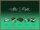 After Eight® The Collection Pralinen 199,0 g