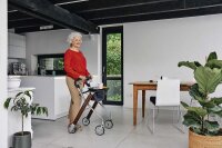 RUSSKA Rollator lets dream 11449400 braun, 1 St.